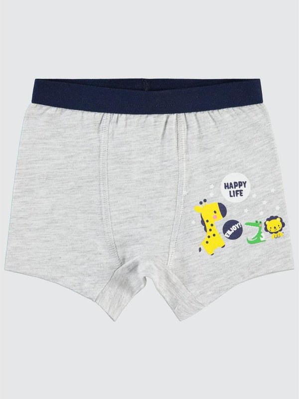 Civil Baby Erkek Bebek Boxer 9-18 Ay