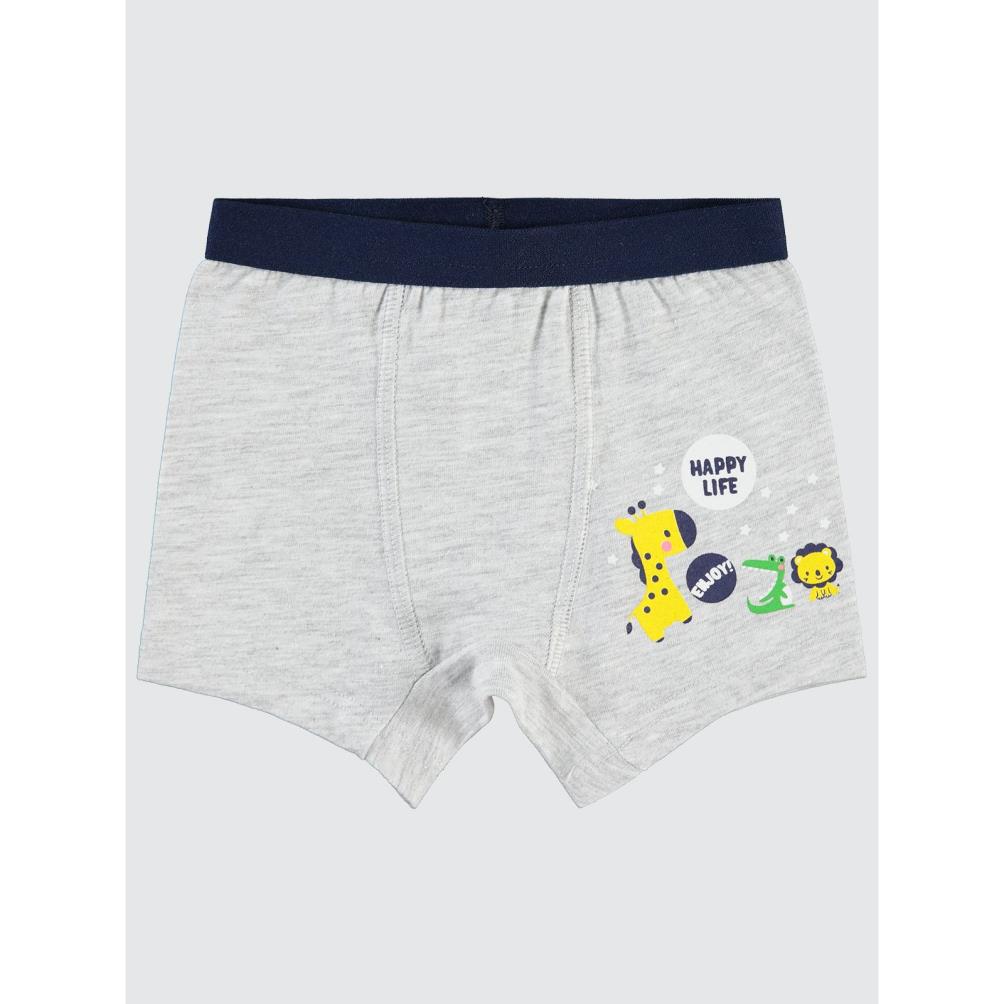 Civil Baby Erkek Bebek Boxer 9-18 Ay