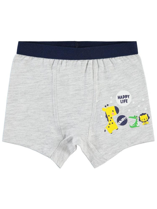 Civil Baby Erkek Bebek Boxer 9-18 Ay