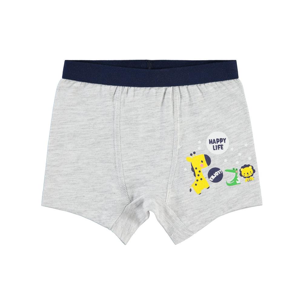 Civil Baby Erkek Bebek Boxer 9-18 Ay