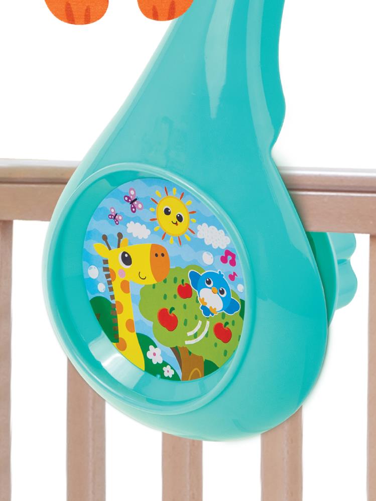 Winfun Orman Arkadaşları Dönence