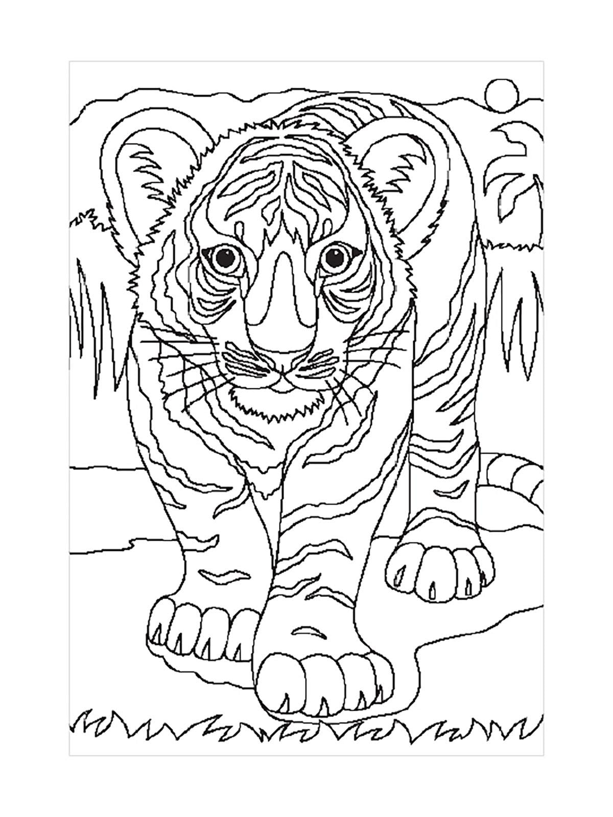 Blue Focus Kaplan Boyanabilir 100 Parça Puzzle