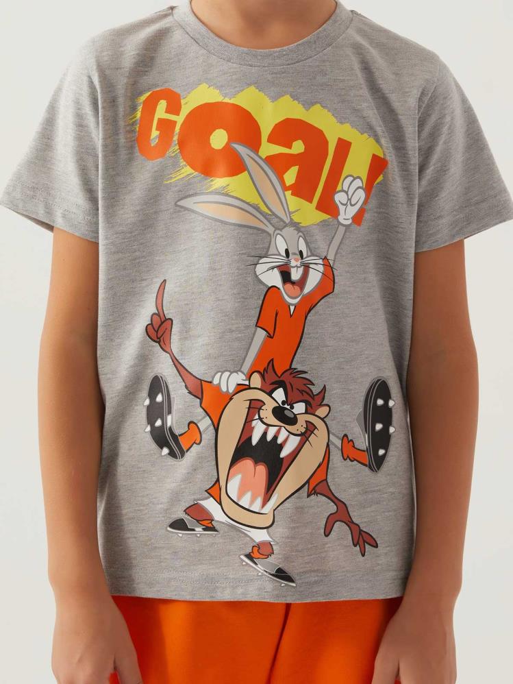Roly Poly Looney Tunes Erkek Çocuk 3-8 Yaş Takım - Gri