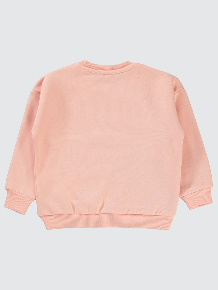 Civil Girls Pullu Baykuş Baskılı 2-5 Yaş Sweatshirt - Pudra