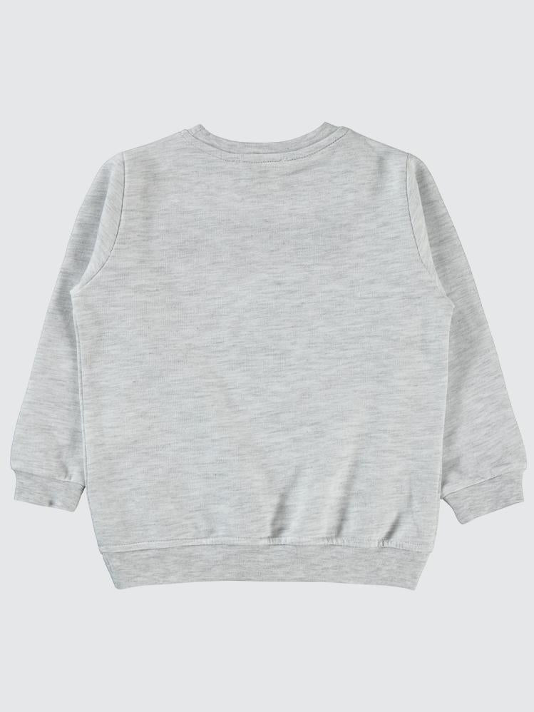 Civil Boys Raptor Dinazor Baskılı 2-5 Yaş Sweatshirt - Gri