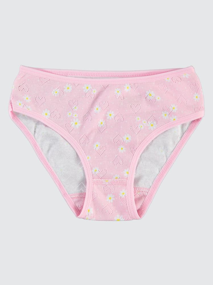 Civil Girls Pembe-Mint Çiçek Baskılı Jakarlı Derbili 2-10 Yaş 2'li Külot Set - Yeşil