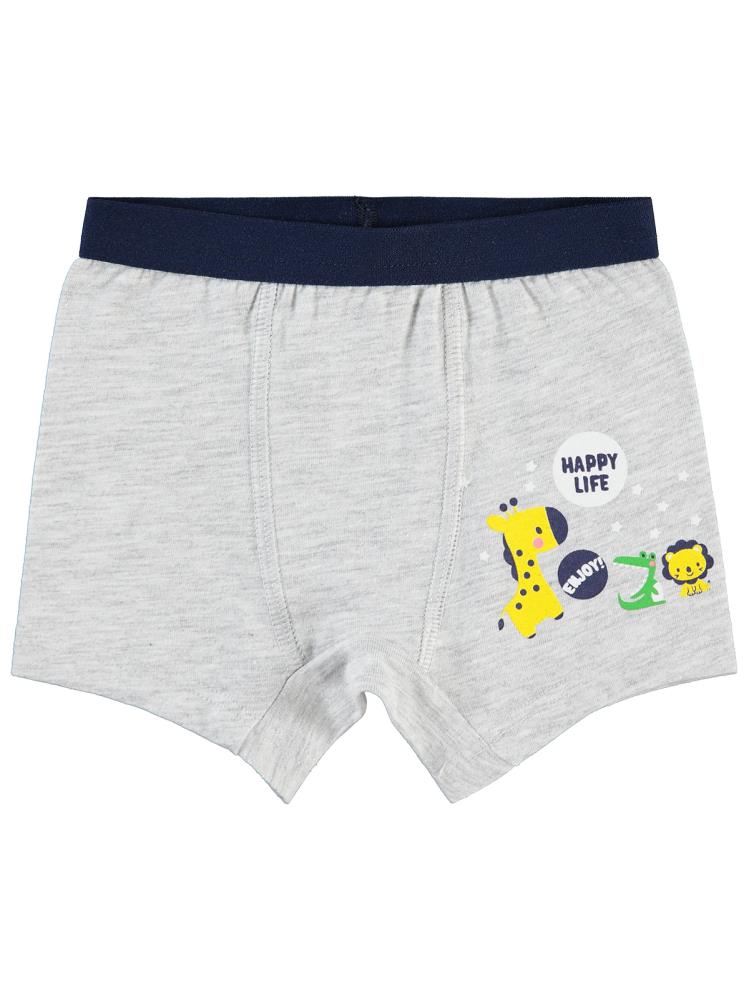 Civil Baby Erkek Bebek Boxer 9-18 Ay