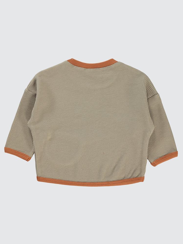 Civil Baby Hello Dinazor 6-18 Ay Sweatshirt - Bej