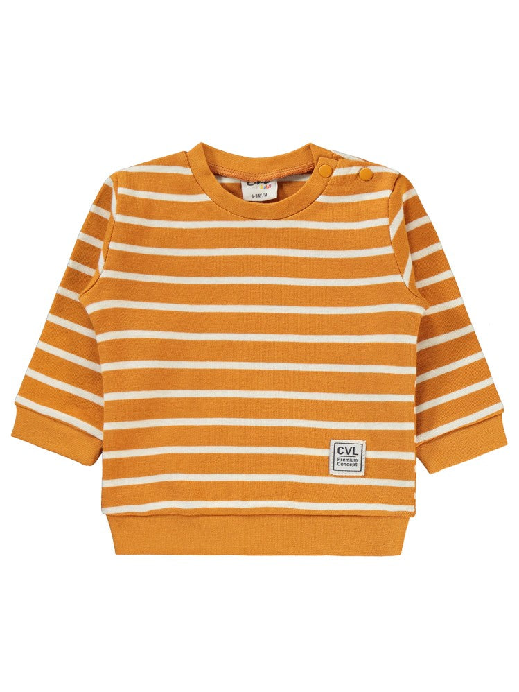 Civil Baby Çizgili 6-18 Ay Takım - Hardal