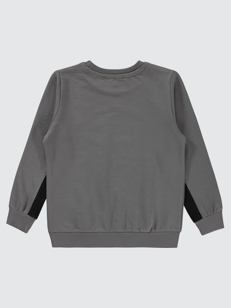 Civil Boys Dinozor Baskılı 2-5 Yaş Sweatshirt - Gri