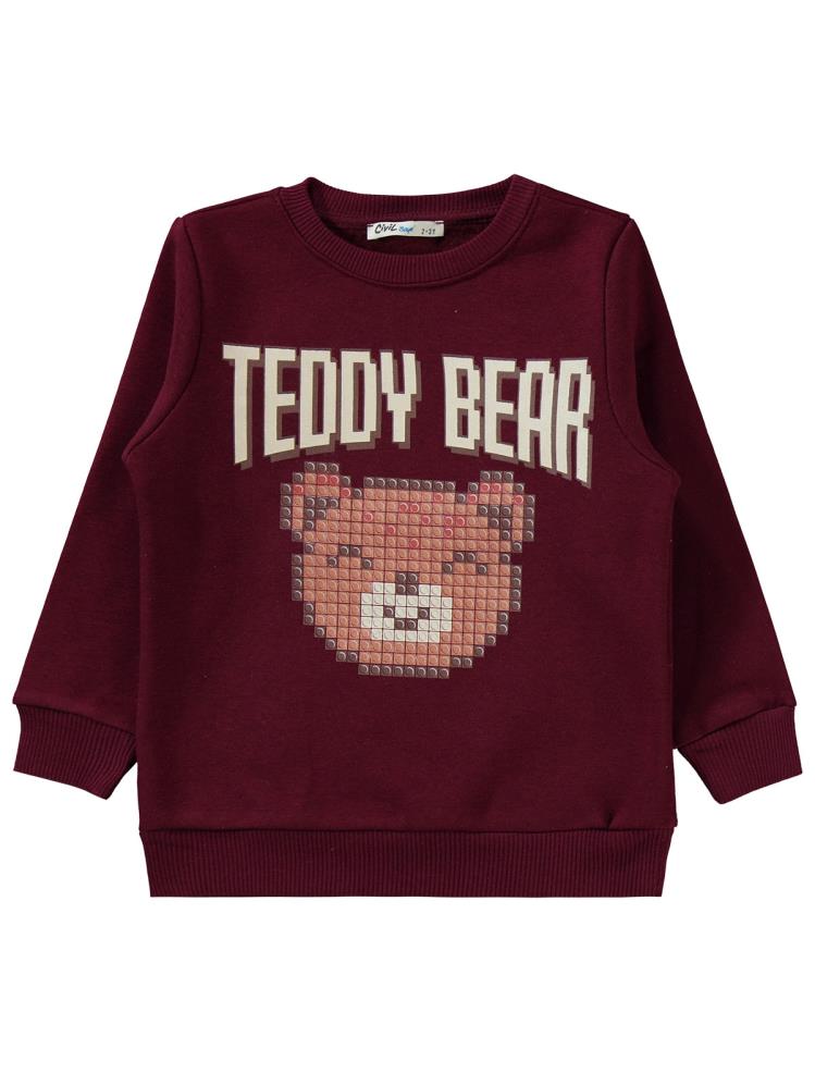 Civil Boys Teddy Bear Baskılı 2-5 Yaş Eşofman Takımı - Bordo
