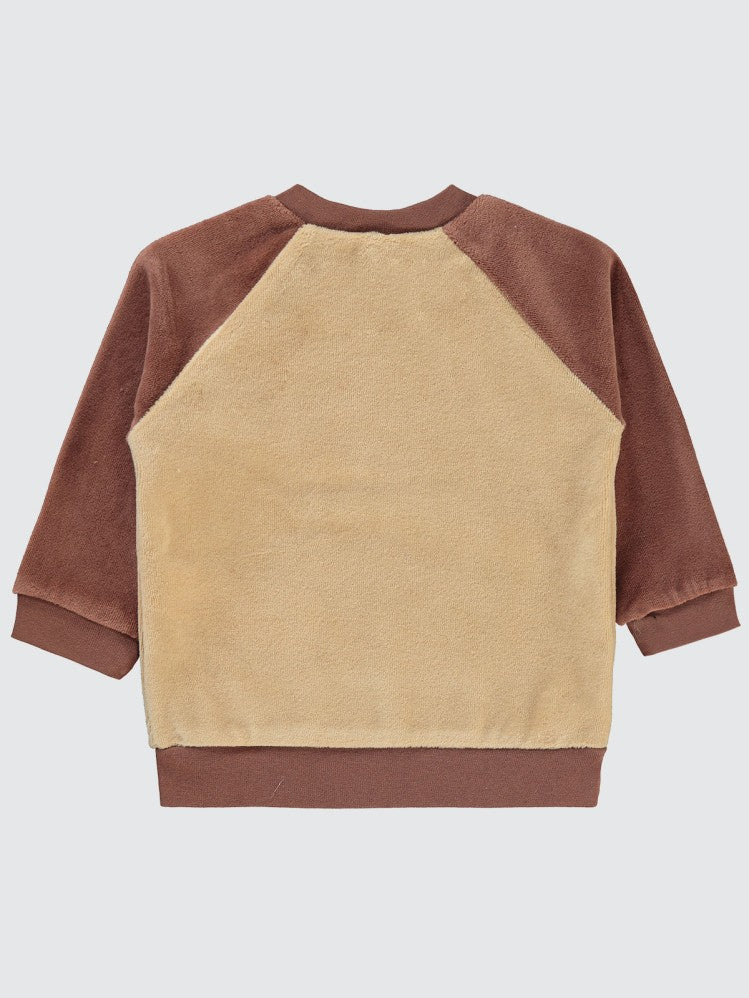 Civil Baby Dinozor Baskılı 6-18 Ay Sweatshirt - Kahverengi