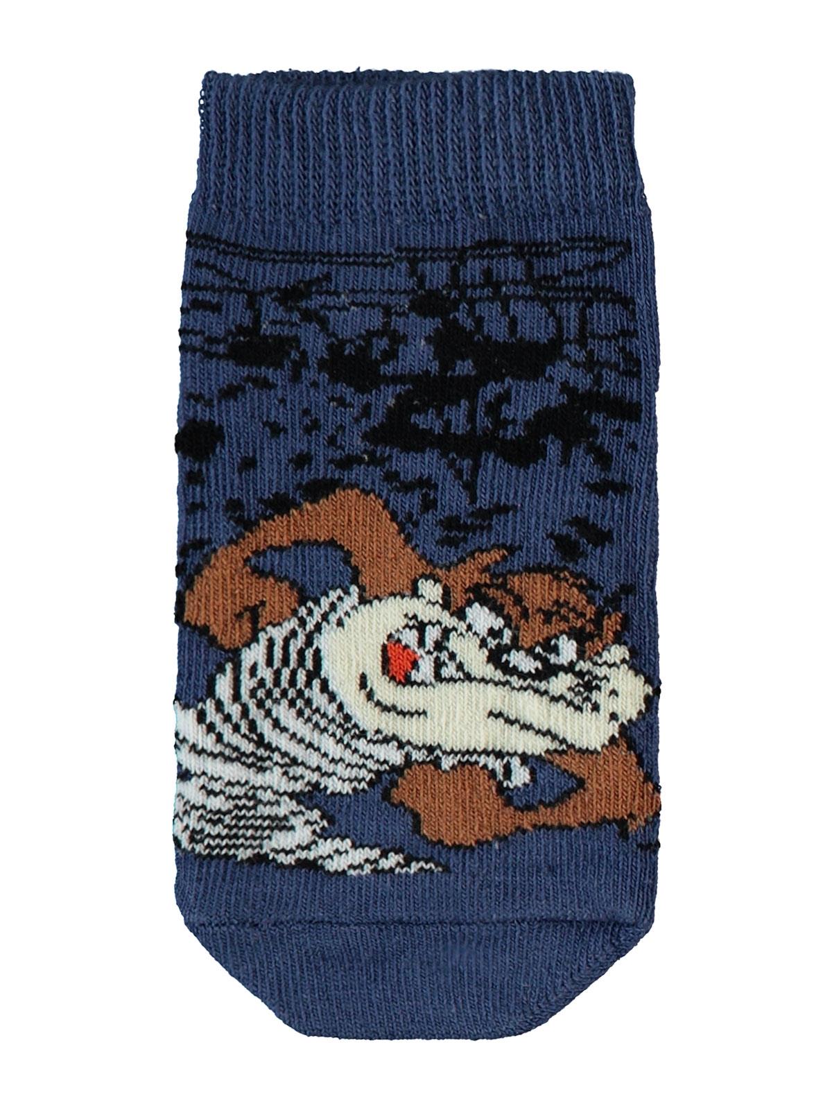 Tazmanya 2-12 Yaş Erkek Patik Çorap