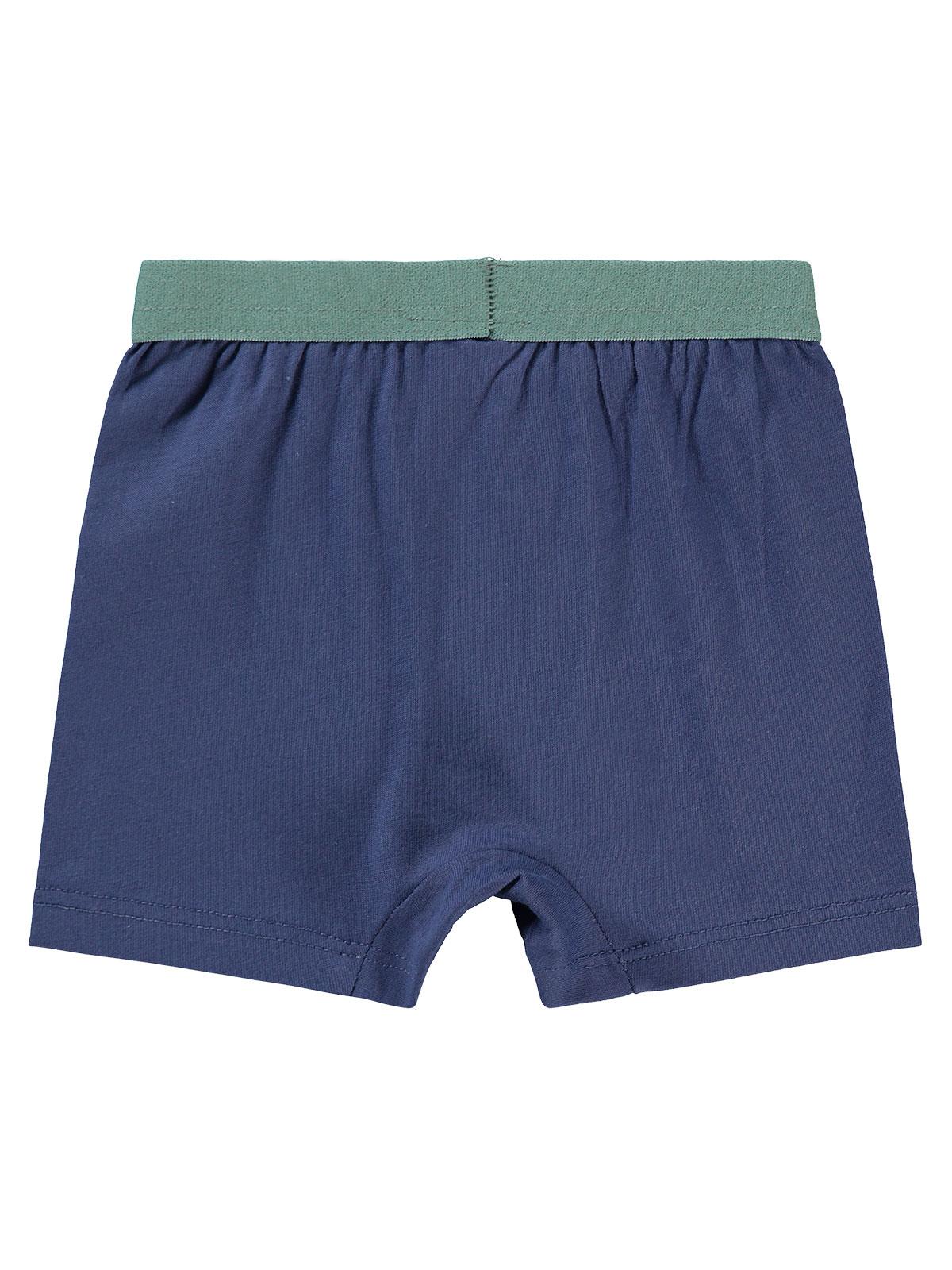 Civil Baby Erkek Bebek Boxer 9-18 Ay