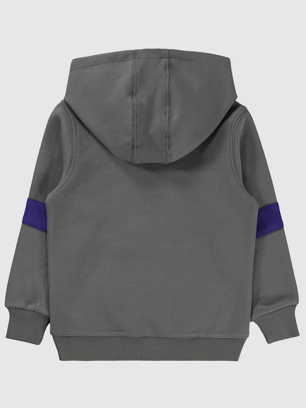 Pierre Cardin Baskılı 2-5 Yaş Sweatshirt - Gri