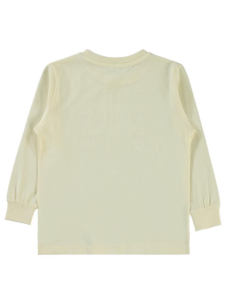 Civil Boys Kaplumbağa Baskılı 2-5 Yaş Sweatshirt - Fil Dişi