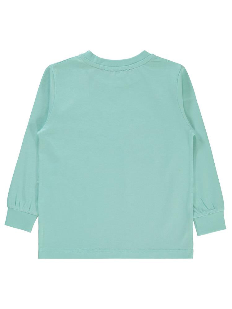 Civil Boys Kaplumbağa Baskılı 2-5 Yaş Sweatshirt - Mavi