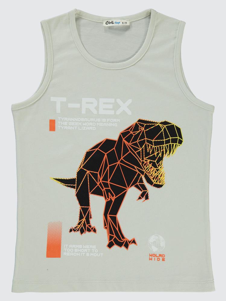 Civil Boys Trex Baskılı 6-9 Yaş Tişört - Gri