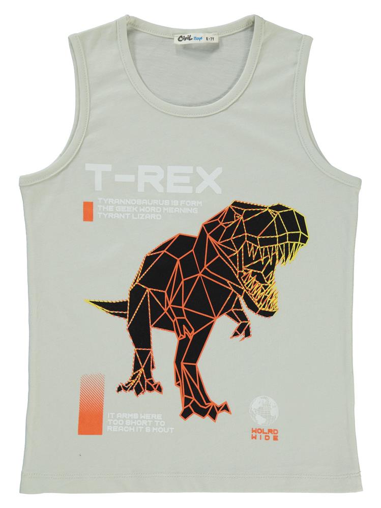 Civil Boys Trex Baskılı 6-9 Yaş Tişört - Gri