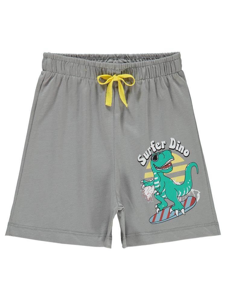 Civil Boys Surfer Dino 2-5 Yaş Şort - Gri