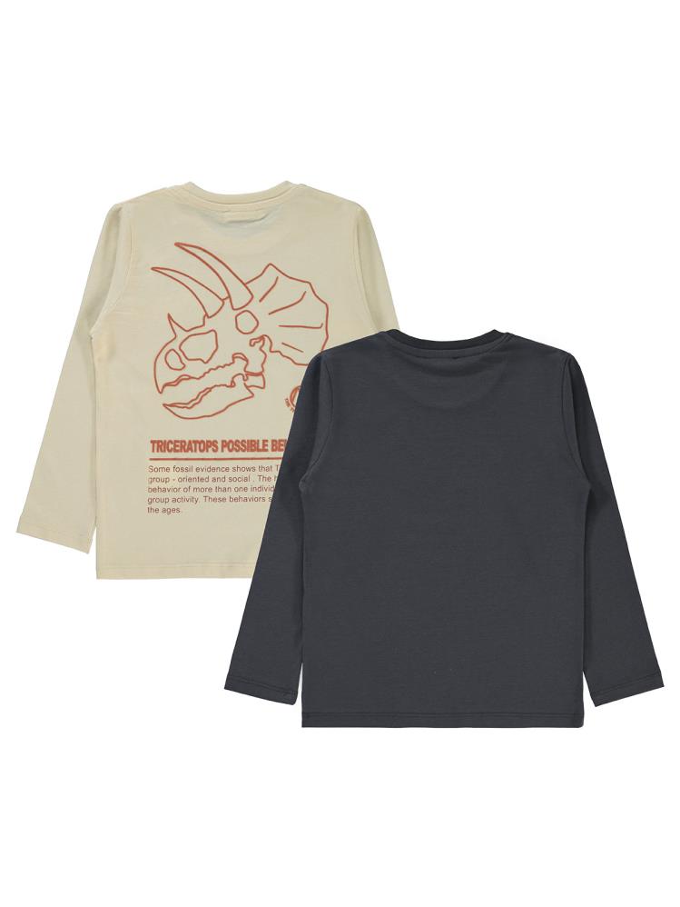 Civil Boys Dino Baskılı 2'li 5-13 Yaş Sweatshirt