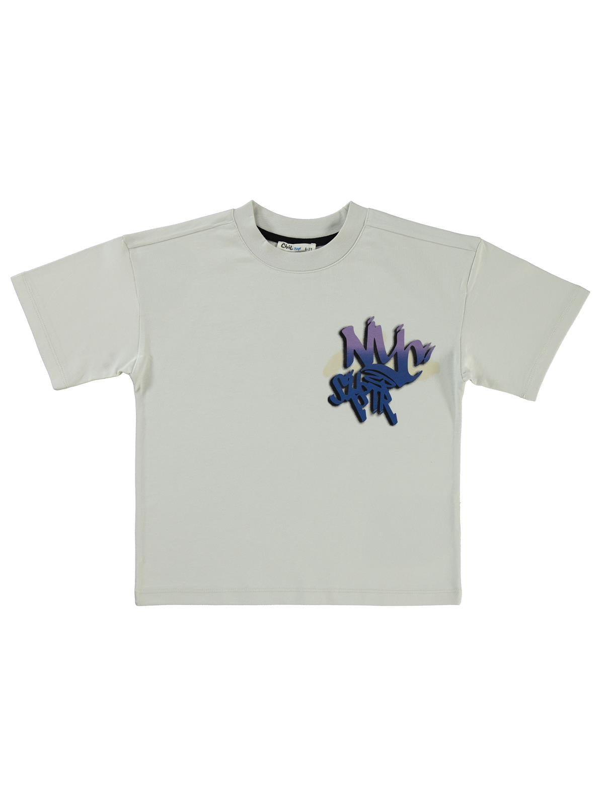 Civil Boys NYC Baskılı 10-13 Yaş Tişört - Gri
