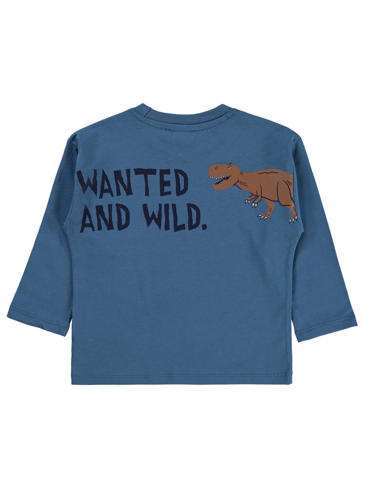 Civil Boys Dinosaur Walk Baskılı 2-5 Yaş Sweatshirt - Mavi