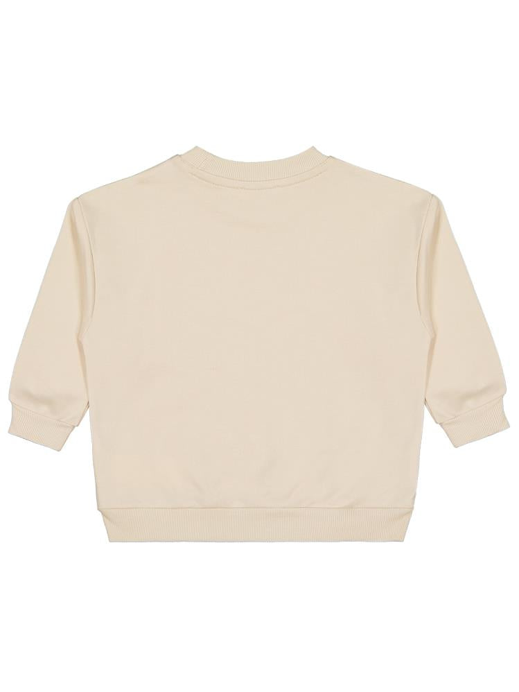 Civil Boys Trex Baskılı 2-5 Yaş Sweatshirt - Bej