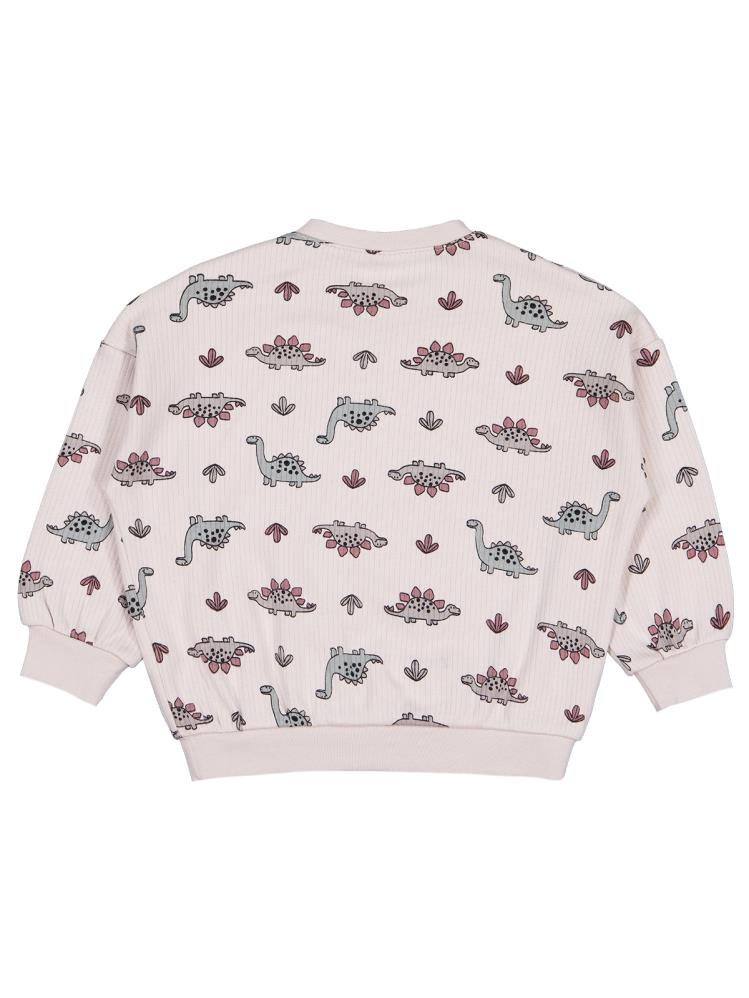 Civil Baby Adventurous Dino Empirme 6-18 AY Sweatshirt - Bej