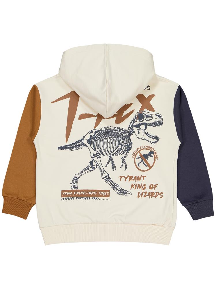 Civil Boys T Rex Baskılı Kapşonlu 6-9 Yaş Sweatshirt - Gri