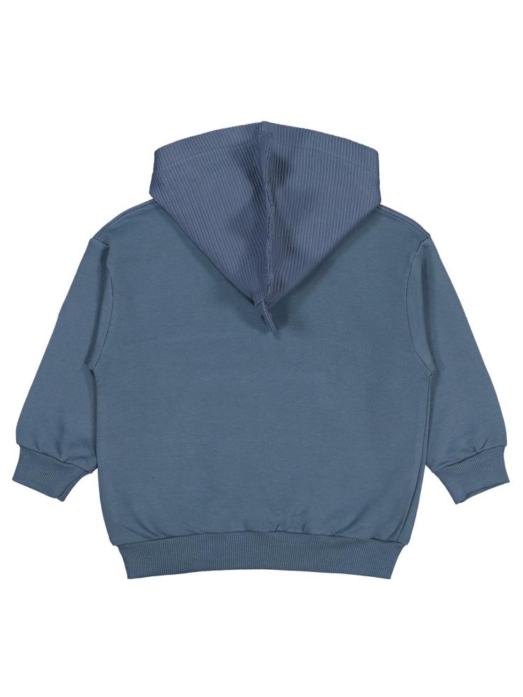 Civil Boys Göz Baskılı Kapşonlu 2-5 Yaş Sweatshirt - Gri