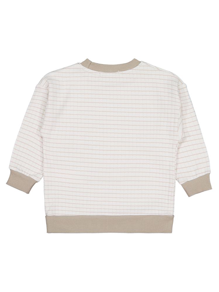 Civil Boys Aslan Nakışlı 2-5 Yaş Sweatshirt - Bej