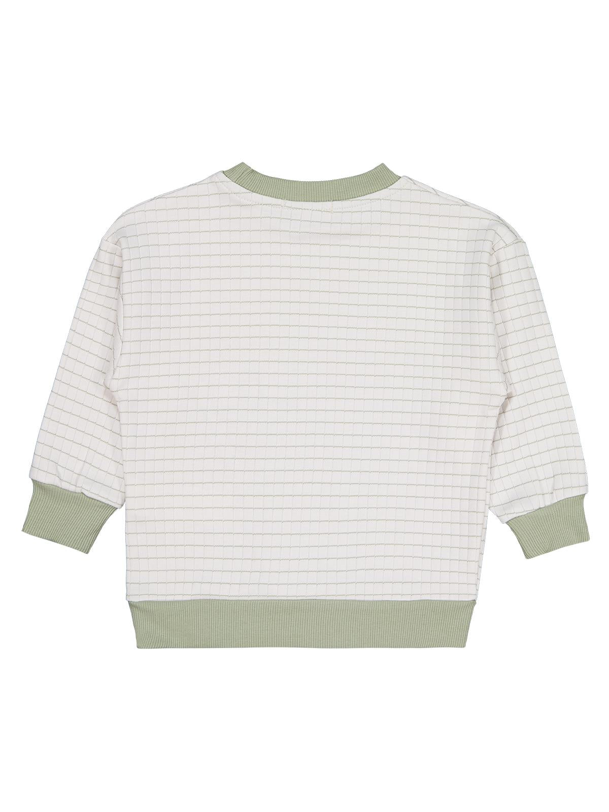 Civil Erkek Çocuk Aslan Nakışlı Sweatshirt | İnterlok Uzun Kol | Okul Kreş ve Günlük Kullanım - Yeşil