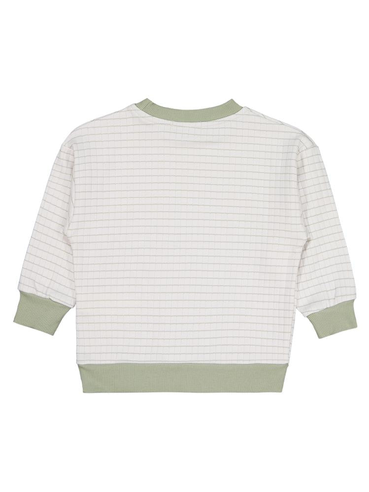 Civil Boys Aslan Nakışlı 2-5 Yaş Sweatshirt - Yeşil
