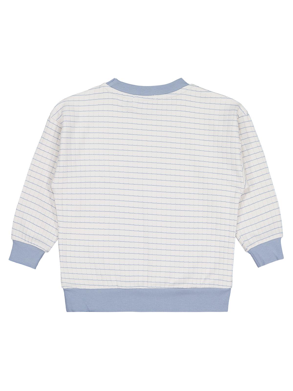 Civil Erkek Çocuk Aslan Nakışlı Sweatshirt | İnterlok Uzun Kol | Okul Kreş ve Günlük Kullanım - Mavi