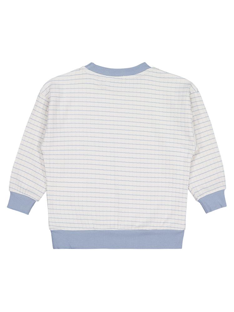 Civil Boys Aslan Nakışlı 2-5 Yaş Sweatshirt - Mavi