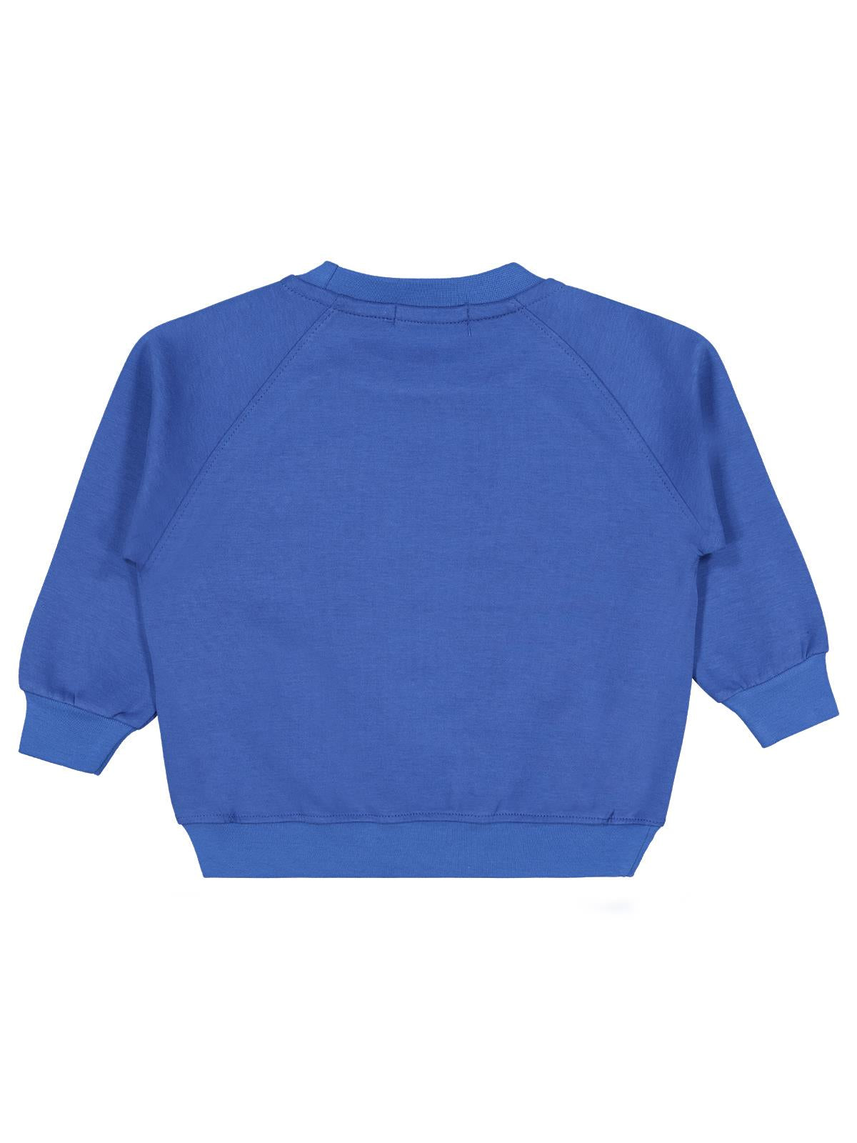 Pierre Cardin Armalı 2-5 Yaş Sweatshirt - Mavi