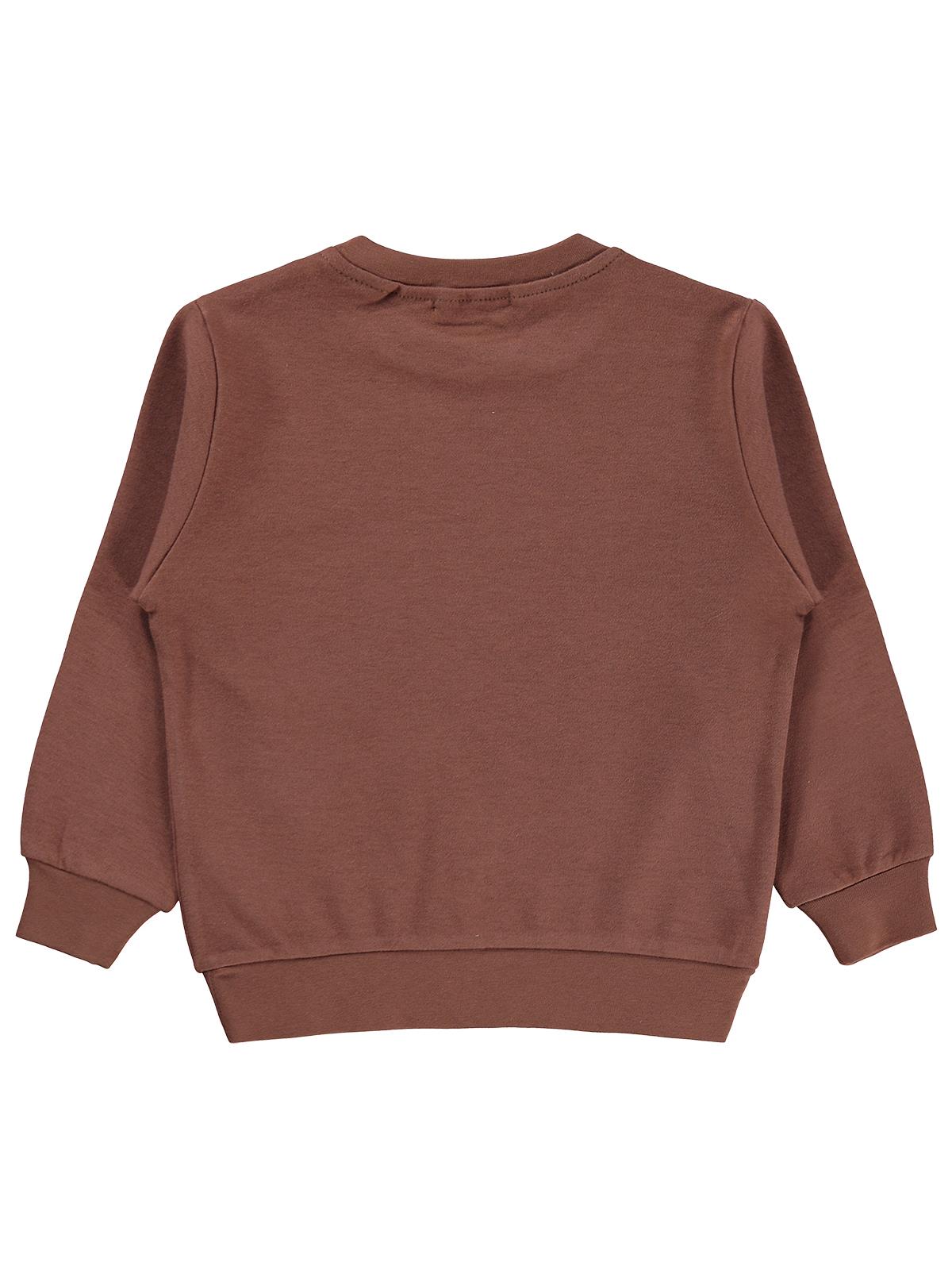 Civil Boys Tili Rakun Ayı Baskılı 2-5 Yaş Sweatshirt - Kahverengi
