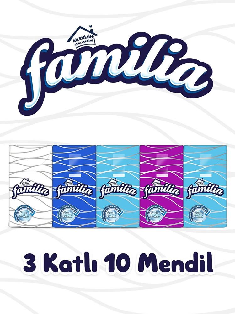 Famılıa Cep Mendil 10x10x25