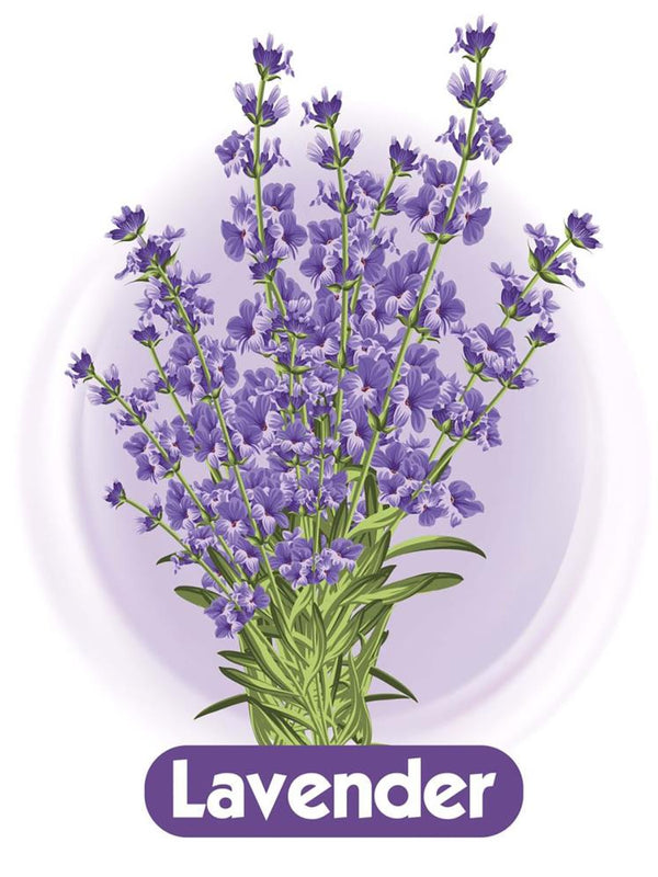 Baby Turco Lavanta Kokulu Islak Bebek Havlusu 70 Yaprak