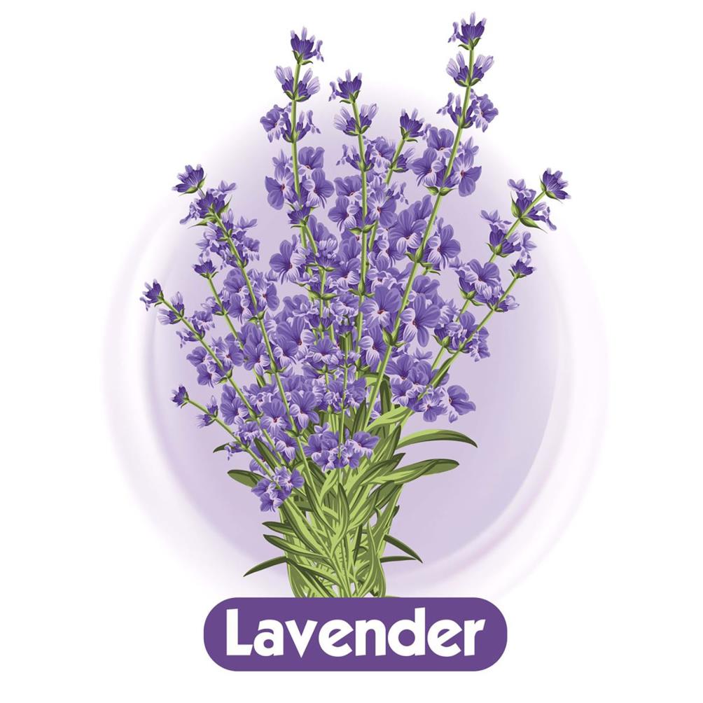 Baby Turco Lavanta Kokulu Islak Bebek Havlusu 70 Yaprak