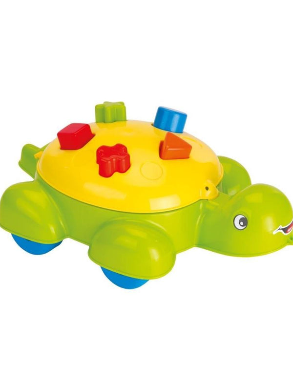Dolu Caretta Bultak