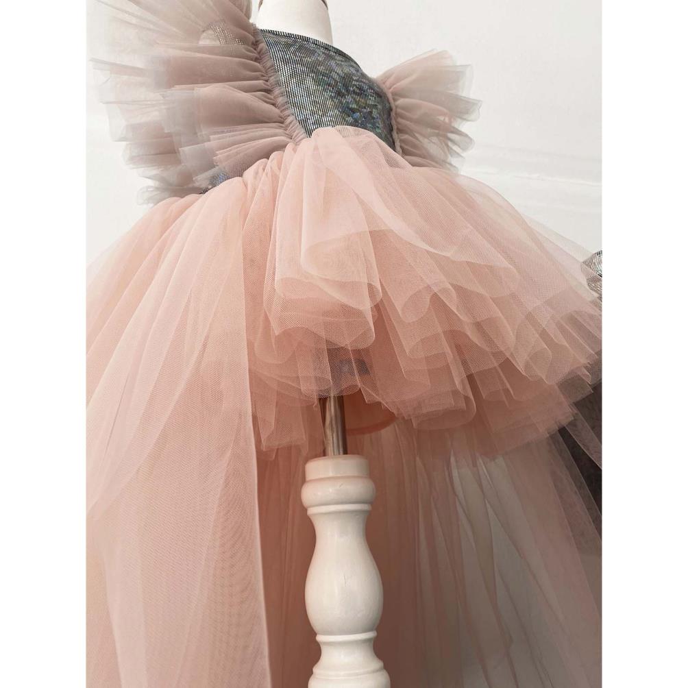 Shecco Babba Tüllü Bandanalı Parti,Doğum Günü Abiye Elbise 1-8 Yaş - Pudra