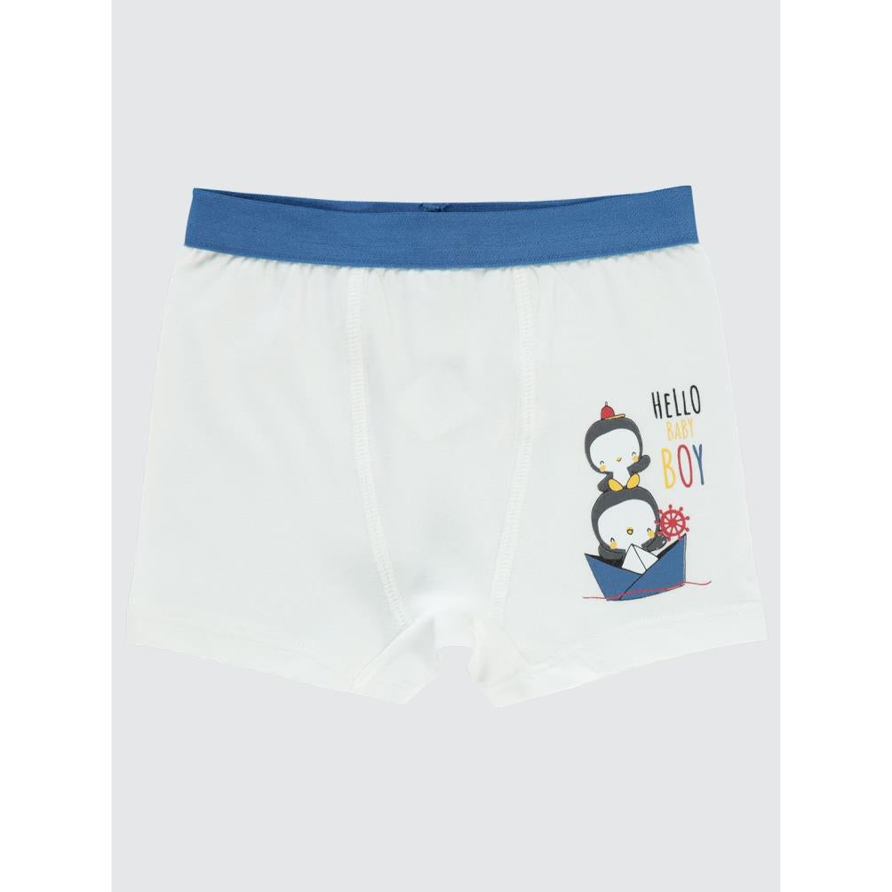 Civil Baby Erkek Bebek Boxer 9-18 Ay