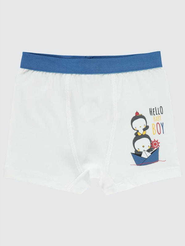 Civil Baby Erkek Bebek Boxer 9-18 Ay
