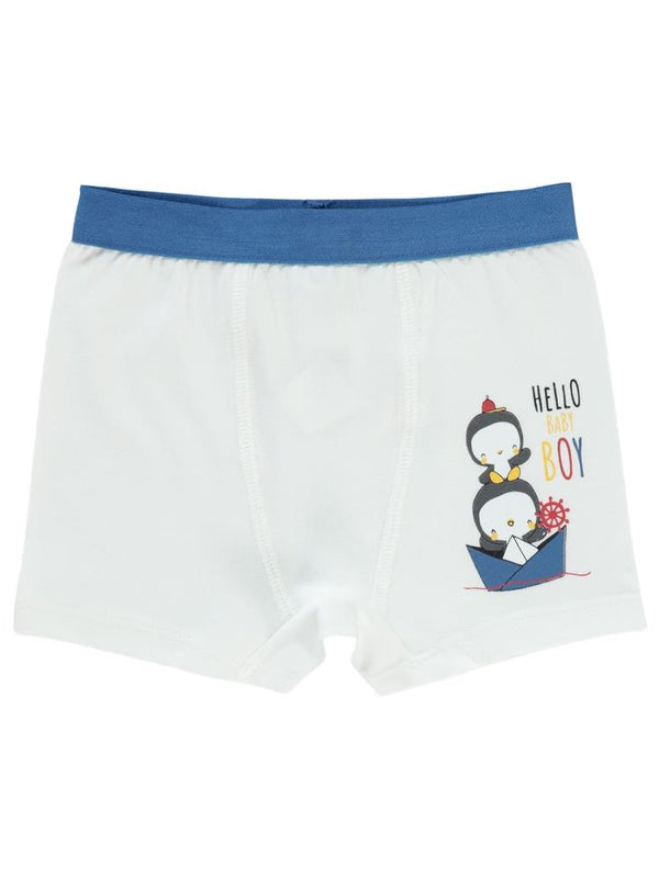 Civil Baby Erkek Bebek Boxer 9-18 Ay