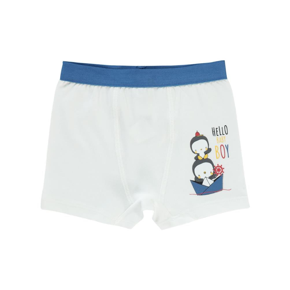 Civil Baby Erkek Bebek Boxer 9-18 Ay