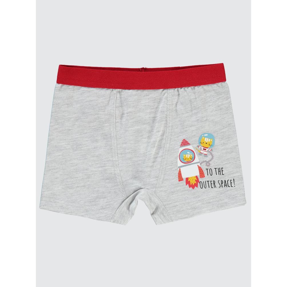 Civil Boys Erkek Bebek Boxer 9-18 Ay
