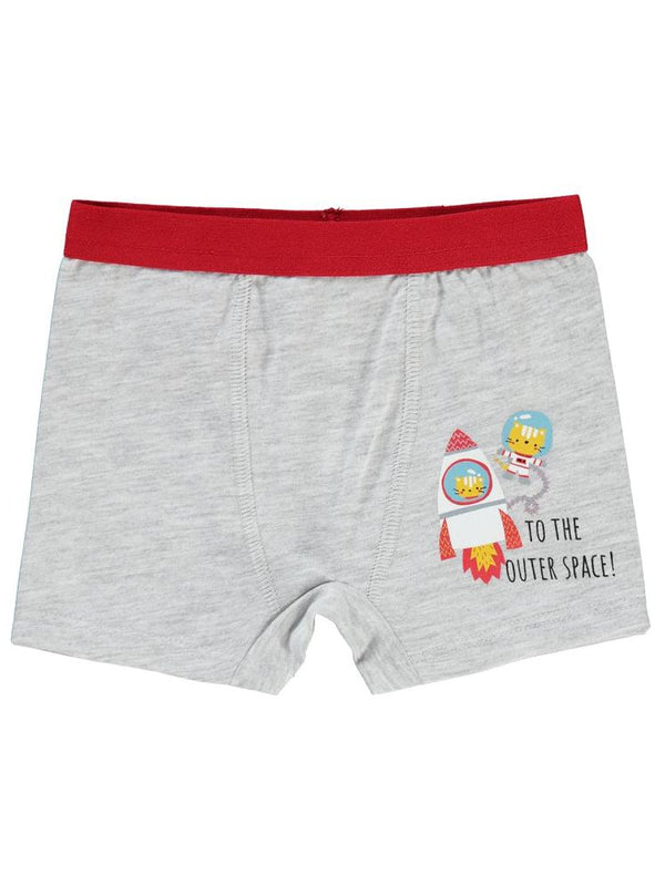 Civil Boys Erkek Bebek Boxer 9-18 Ay