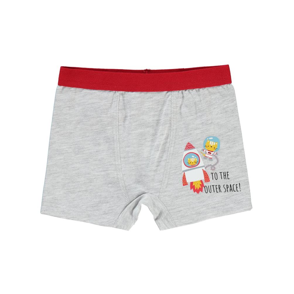 Civil Boys Erkek Bebek Boxer 9-18 Ay